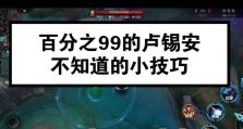 《9.2卢锡安出装攻略》（掌握卢锡安攻略，成为无敌射手）