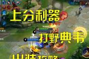 寒冰打野攻略（玩转寒冰打野，掌握最强出装方案！）