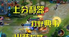 寒冰打野攻略（玩转寒冰打野，掌握最强出装方案！）