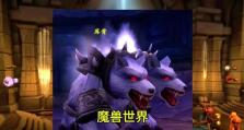 《以赛季服猎人技能书搭配攻略》（打造无敌猎人，释放终极技能）