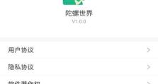 揭秘陀螺世界的技能攻略（掌握陀螺世界的技巧，成为高手！）
