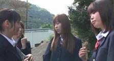 攻略日本特定技能考试，轻松获得职场优势（以日本特定技能考试为突破口，提升就业竞争力）