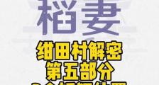 原神解密稻妻攻略（探索原神世界，解锁稻妻独特故事情节，获取丰厚奖励）