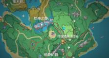 《征服蛇神之首，探索原神世界的终极挑战》（破解谜题、击败敌人，勇闯蛇神之首的奥秘）