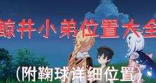 《原神》鲸景小弟攻略指南（探寻原神世界中最宝贵的秘密！）