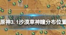 探索原神沙漠宝的秘密（挖掘沙漠宝藏，解锁丰厚奖励！）