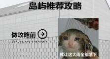 马尔代夫小游戏攻略（畅游马尔代夫，解锁隐藏关卡，体验极致奇妙冒险）