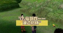 《仙剑四游戏全本攻略》——揭秘游戏终极奥秘（一探游戏全本攻略，让你成为无敌剑士）