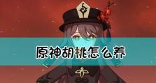 原神胡桃培养攻略（打造强力角色，让胡桃发光发热）