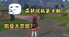 《探索海盗秘宝的乐趣》（《揭开原神海盗秘密的关键线索》）